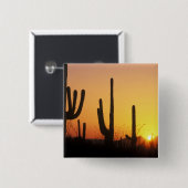 N.A., USA, AZ, Saguaro NP, Saguaro Sunset Button (Vorne & Hinten)