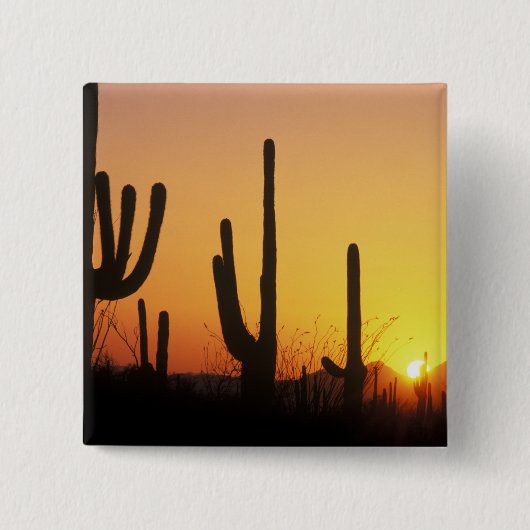 N.A., USA, AZ, Saguaro NP, Saguaro Sunset Button (Vorderseite)