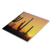 N.A., USA, AZ, Saguaro NP, Saguaro Sunset Fliese (Seite)