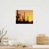 N.A., USA, AZ, Saguaro NP, Saguaro Sunset Poster (Küche)