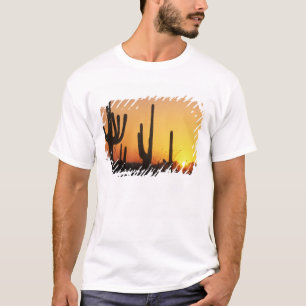 N.A., USA, AZ, Saguaro NP, Saguaro Sunset T-Shirt