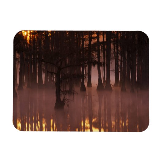 N.A., USA, Georgia, George Smith Staat Park. Magnet (Horizontal)