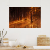 N.A., USA, Georgia, George Smith Staat Park. Poster (Küche)