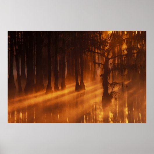 N.A., USA, Georgia, George Smith Staat Park. Poster (Vorne)