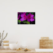 N.A. USA, Georgia, Savannah. Azalea blühen. Poster (Küche)