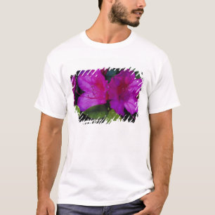 N.A. USA, Georgia, Savannah. Azalee in Blüte. T-Shirt