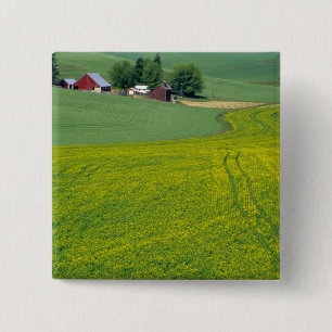N.A., USA, Idaho, Latah County, bei Genesee. Button