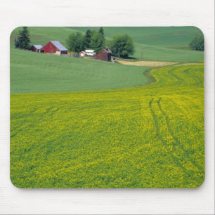 N.A., USA, Idaho, Latah County, bei Genesee. Mousepad