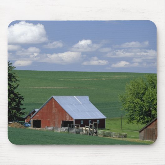 N.A., USA, Idaho, Latah County nahe Genesee. Mousepad (Vorne)