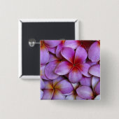 N.A., USA, Maui, Hawaii. Rosa Plumeria blüht. Button (Vorne & Hinten)