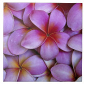 N.A., USA, Maui, Hawaii. Rosa Plumeria blüht. Fliese (Vorderseite)