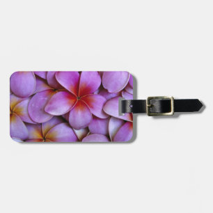 N.A., USA, Maui, Hawaii. Rosa Plumeria blüht. Gepäckanhänger