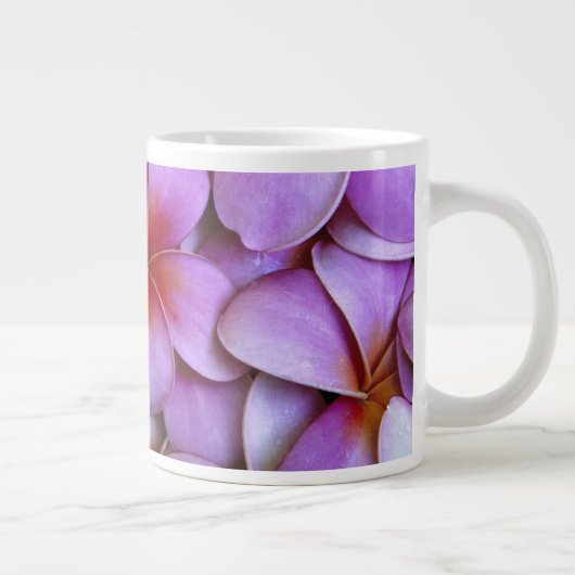 N.A., USA, Maui, Hawaii. Rosa Plumeria blüht. Jumbo-Tasse (Rechts)
