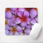 N.A., USA, Maui, Hawaii. Rosa Plumeria blüht. Mousepad (Mit Mouse)