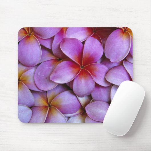 N.A., USA, Maui, Hawaii. Rosa Plumeria blüht. Mousepad (Mit Mouse)