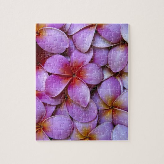 N.A., USA, Maui, Hawaii. Rosa Plumeria blüht. Puzzle (Vertikal)