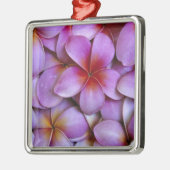 N.A., USA, Maui, Hawaii. Rosa Plumeria blüht. Silbernes Ornament (Links)