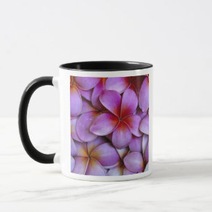 N.A., USA, Maui, Hawaii. Rosa Plumeria-Blüten. Tasse