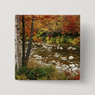 N.A., USA, New Hampshire, White Mountains, Button