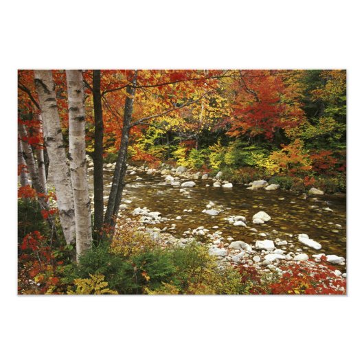 N.A., USA, New Hampshire, White Mountains, Fotodruck (Vorne)