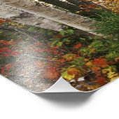 N.A., USA, New Hampshire, White Mountains, Fotodruck (Ecke)