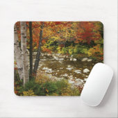 N.A., USA, New Hampshire, White Mountains, Mousepad (Mit Mouse)