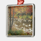 N.A., USA, New Hampshire, White Mountains, Ornament Aus Metall (Links)
