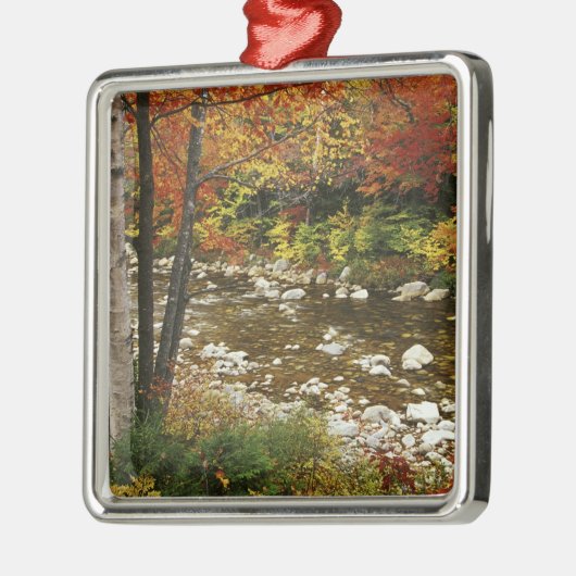 N.A., USA, New Hampshire, White Mountains, Ornament Aus Metall (Links)