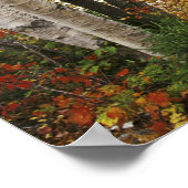 N.A., USA, New Hampshire, White Mountains, Poster (Ecke)