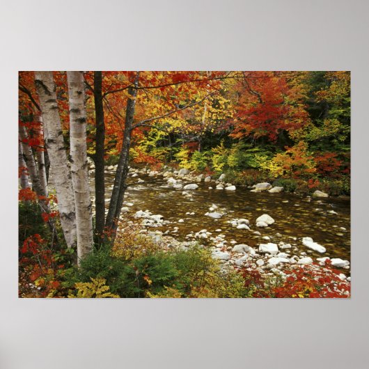 N.A., USA, New Hampshire, White Mountains, Poster (Vorne)