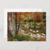 N.A., USA, New Hampshire, White Mountains, Postkarte (Vorne/Hinten)