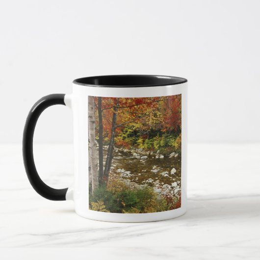N.A., USA, New Hampshire, White Mountains, Tasse (Links)