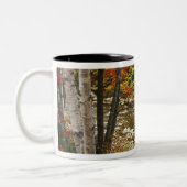N.A., USA, New Hampshire, White Mountains, Zweifarbige Tasse (Links)