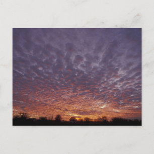 N.A., USA, New Mexico, in der Nähe von Las Cruces, Postkarte