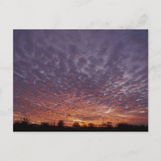 N.A., USA, New Mexico, in der Nähe von Las Cruces, Postkarte (Vorderseite)