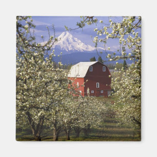 N.A., USA, Oregon, Hood River County. Rot Magnet