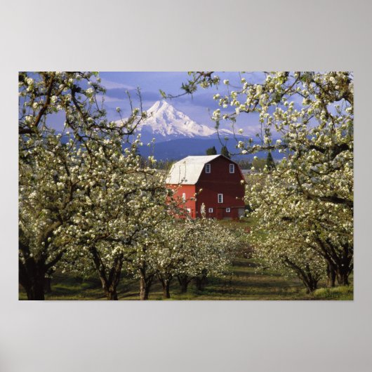 N.A., USA, Oregon, Hood River Landkreis. Rot Poster (Vorne)