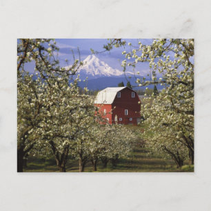 N.A., USA, Oregon, Hood River Landkreis. Rot Postkarte