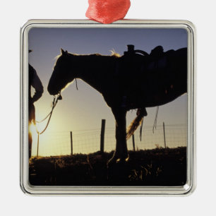 N.A., USA, Oregon, Seneca, Ponderosa Ranch, Ornament Aus Metall