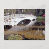 N.A., USA, South Carolina, Charleston. Magnolia Postkarte (Vorderseite)