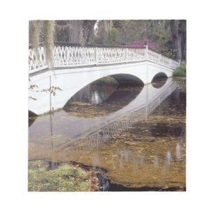 N.A., USA, South Carolina, Charleston.Magnolie Notizblock