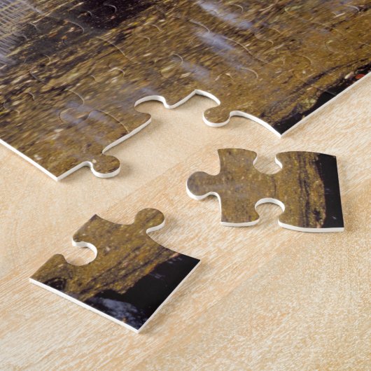 N.A., USA, South Carolina, Charleston.Magnolie Puzzle (Seite)