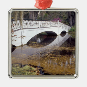 N.A., USA, South Carolina, Charleston.Magnolie Silbernes Ornament