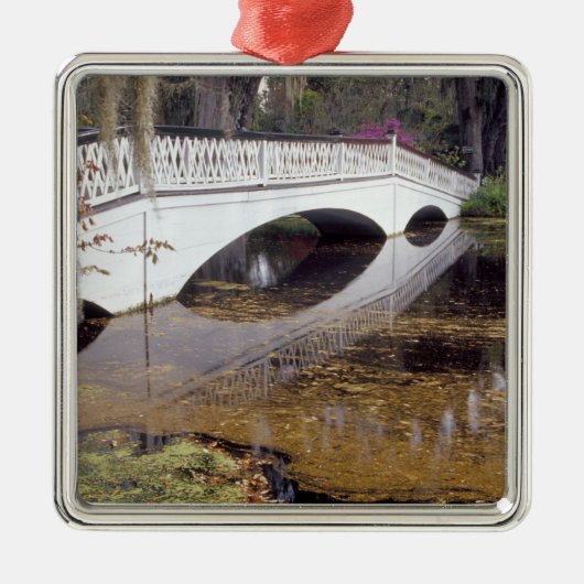 N.A., USA, South Carolina, Charleston.Magnolie Silbernes Ornament (Vorne)