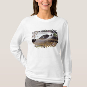 N.A., USA, South Carolina, Charleston. Magnolie T-Shirt
