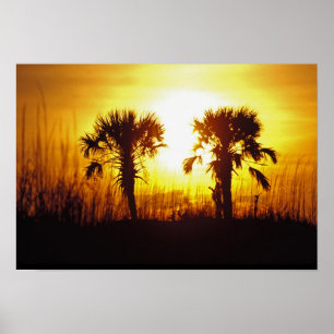 N.A., USA, South Carolina, Charleston. Sonnenunter Poster