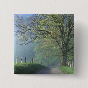 N.A., USA, Tennessee, Smokey Mts. Nationalpark, Button