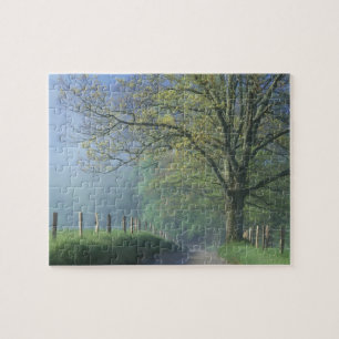 N.A., USA, Tennessee, Smokey Mts. Nationalpark, Puzzle