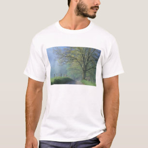 N.A., USA, Tennessee, Smokey Mts. Nationalpark, T-Shirt