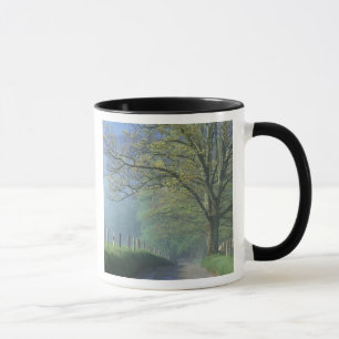 N.A., USA, Tennessee, Smokey Mts. Nationalpark, Tasse